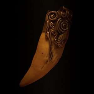 Zilveren zeeleeuwtand amulet