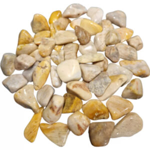 Versteend hout trommelstenen 500 gr. (mt3)