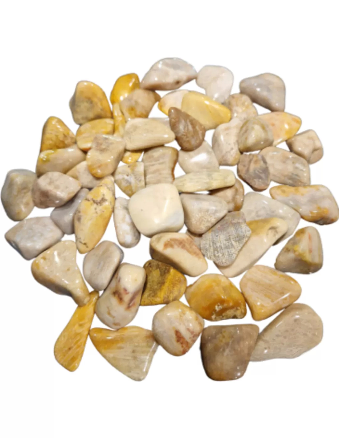 Versteend hout trommelstenen 500 gr. (mt3) 1 Versteend hout trommelstenen 500 gr. (mt3)
